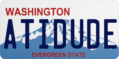 WA license plate ATIDUDE