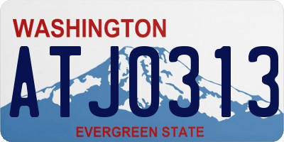 WA license plate ATJ0313