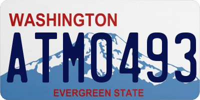 WA license plate ATM0493