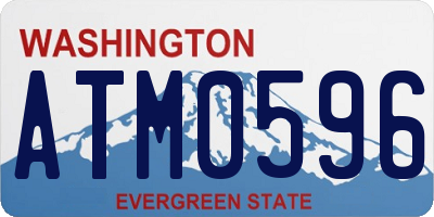 WA license plate ATM0596
