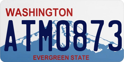 WA license plate ATM0873