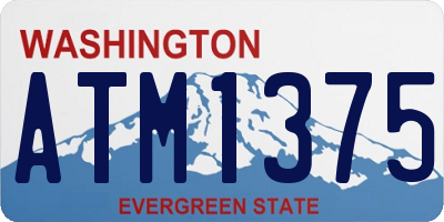 WA license plate ATM1375