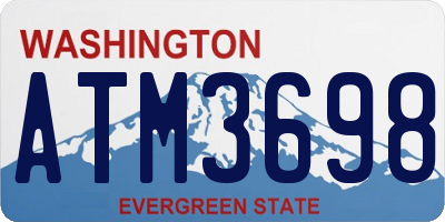 WA license plate ATM3698