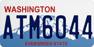 WA license plate ATM6044