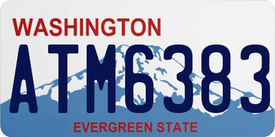 WA license plate ATM6383