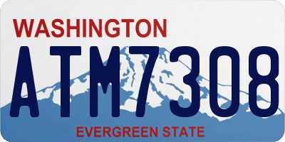 WA license plate ATM7308