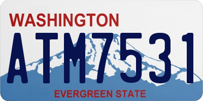 WA license plate ATM7531