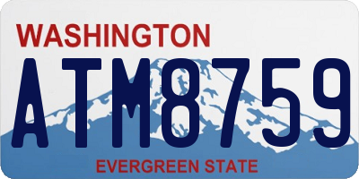 WA license plate ATM8759