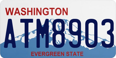 WA license plate ATM8903