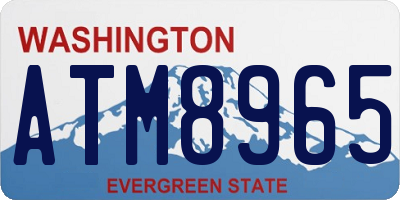 WA license plate ATM8965