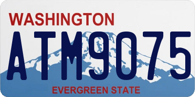 WA license plate ATM9075