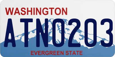 WA license plate ATN0203