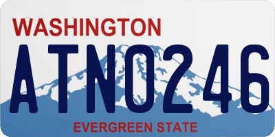 WA license plate ATN0246