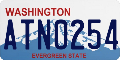 WA license plate ATN0254
