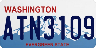 WA license plate ATN3109