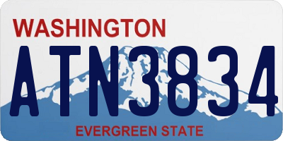 WA license plate ATN3834