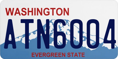 WA license plate ATN6004