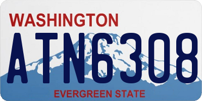 WA license plate ATN6308