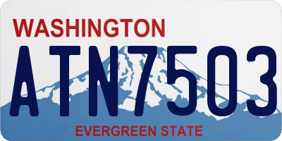 WA license plate ATN7503