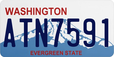 WA license plate ATN7591