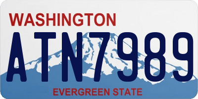 WA license plate ATN7989