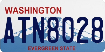 WA license plate ATN8028