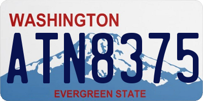 WA license plate ATN8375