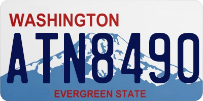 WA license plate ATN8490