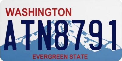 WA license plate ATN8791