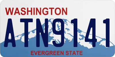 WA license plate ATN9141