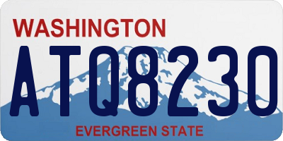 WA license plate ATQ8230