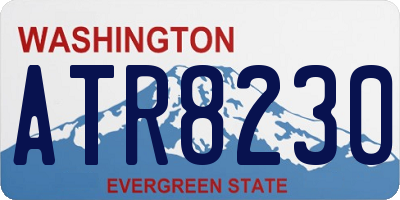 WA license plate ATR8230