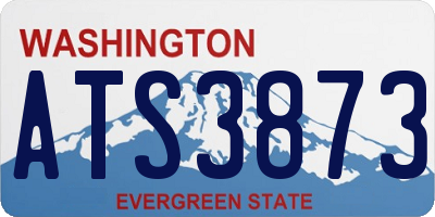 WA license plate ATS3873