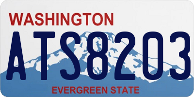 WA license plate ATS8203