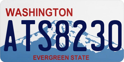 WA license plate ATS8230