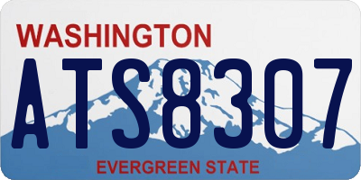 WA license plate ATS8307
