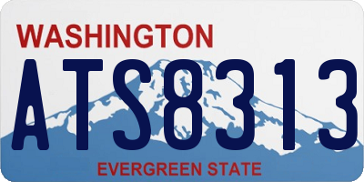 WA license plate ATS8313