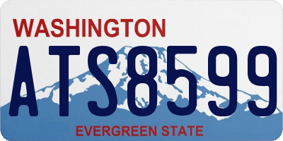WA license plate ATS8599