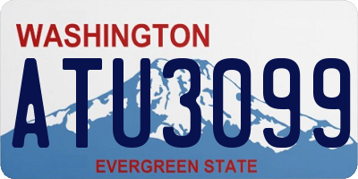 WA license plate ATU3099