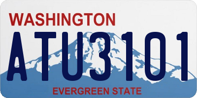 WA license plate ATU3101