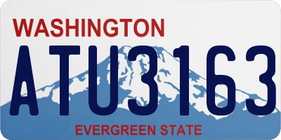 WA license plate ATU3163