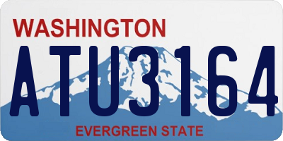 WA license plate ATU3164
