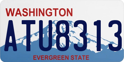 WA license plate ATU8313