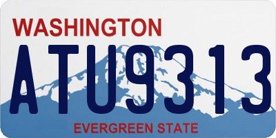 WA license plate ATU9313