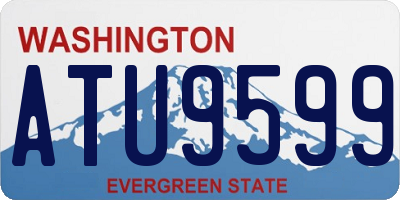 WA license plate ATU9599