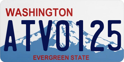 WA license plate ATV0125