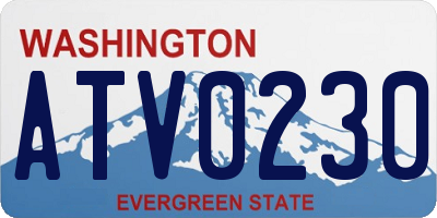 WA license plate ATV0230