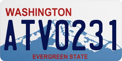 WA license plate ATV0231