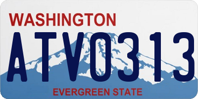 WA license plate ATV0313