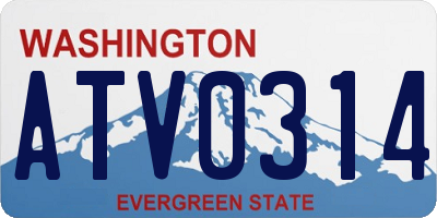 WA license plate ATV0314